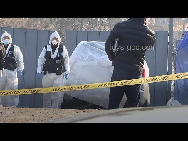 三亚被咬身亡女子家属的心路历程：拒绝尸检的抉择